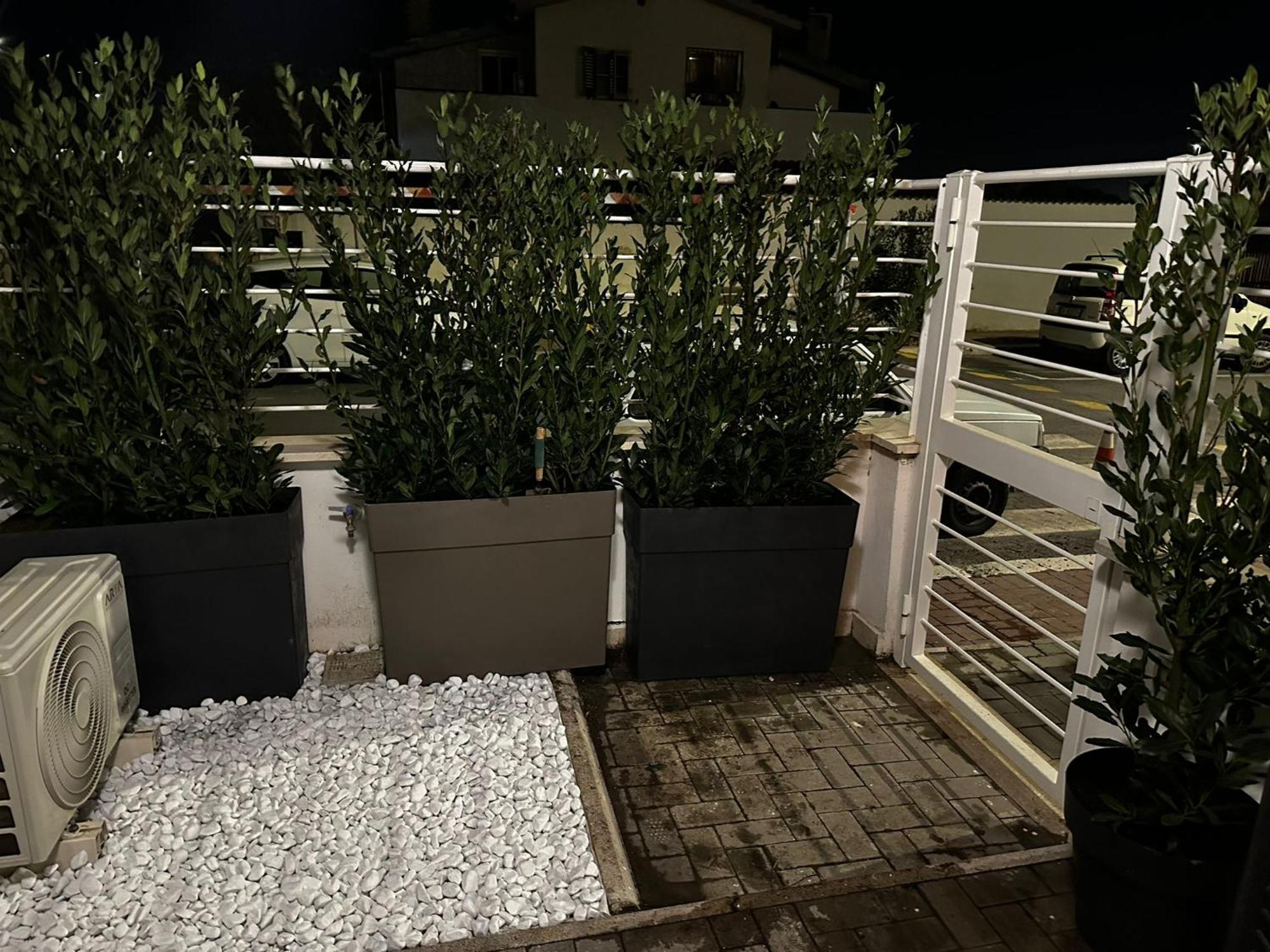 Ancora...Io E Te Villa Focene Exteriör bild